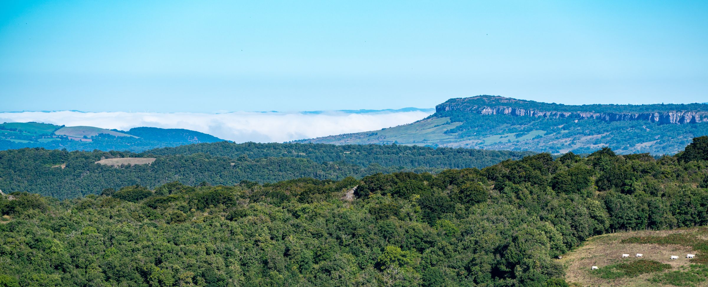 Mer de nuages sous les falaises des causses